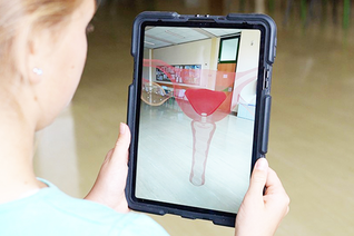 Erste 3D- und Augmented Reality-Anwendung zu Menstruation